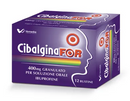 Cibalginafor 400 mg granulato per soluzione orale  ibuprofene