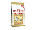 Feline breed nutrition persian adult 4 kg
