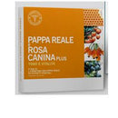 Lfp pappa reale rosa canina 10 flaconcini 10 ml