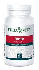 Ginkobiloba 60 capsule