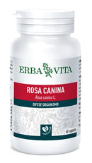 Rosa canina 60 capsule 400 mg