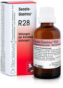 Reckeweg r28 gocce 22ml