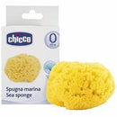 Chicco spugna mare piccola