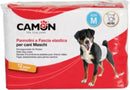 Pannolini a fascia cani maschi misura 2 12 pezzi