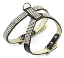 Guinzaglio + pettorina in pelle con strass black 1