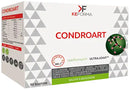 Condroart 30 bustine