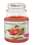 DEALO CANDELE PROFUMATA 26 ORE ASSORTITE