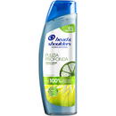 H&S NEW SH DERMA P/PROF.C.GRA 250M