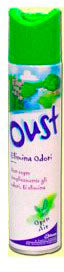 OUST SPRAY 300 ML
