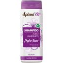 SPLEND OR SHAMPOO ACIDO IALUR 300M